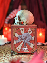 Cargar imagen en el visor de la galería, Caja de Madera con Calavera Circus