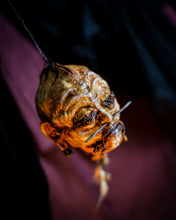 Cargar imagen en el visor de la galería, Cabeza Reducida