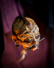 Cargar imagen en el visor de la galería, Cabeza Reducida