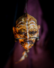 Cargar imagen en el visor de la galería, Cabeza Reducida