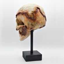 Cargar imagen en el visor de la galería, Nosferatu Skull