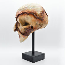 Cargar imagen en el visor de la galería, Nosferatu Skull