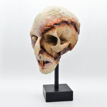 Cargar imagen en el visor de la galería, Nosferatu Skull