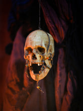 Cargar imagen en el visor de la galería, Calavera Tzantza
