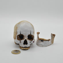 Cargar imagen en el visor de la galería, The Mime Skull Small
