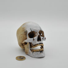 Cargar imagen en el visor de la galería, The Mime Skull Small
