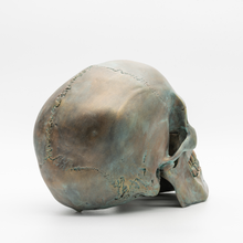 Cargar imagen en el visor de la galería, Oxide Skull by Voudou Skull Collection - Calavera a tamaño real hecha a mano y pintada en color latón, cobre, zinc, bronce y efecto oxido, escultura o figura  de cráneo hiperrealista que puede servir para ciencia, decoración e interismo /  Oxide Skull by Voudou Skull Collection - Life-size skull handmade and painted in color brass, copper, zinc, bronze and rust effect, sculpture or hyper-realistic skull figure that can be used for science, decoration and interior design

