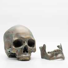 Cargar imagen en el visor de la galería, Oxide Skull by Voudou Skull Collection - Calavera a tamaño real hecha a mano y pintada en color latón, cobre, zinc, bronce y efecto oxido, escultura o figura  de cráneo hiperrealista que puede servir para ciencia, decoración e interismo /  Oxide Skull by Voudou Skull Collection - Life-size skull handmade and painted in color brass, copper, zinc, bronze and rust effect, sculpture or hyper-realistic skull figure that can be used for science, decoration and interior design
