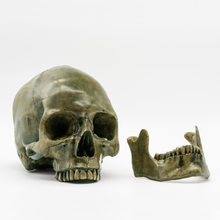 Cargar imagen en el visor de la galería, Bogged Down Skull
