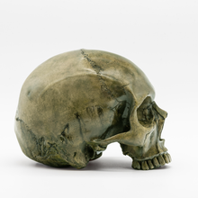 Cargar imagen en el visor de la galería, Bogged Down Skull

