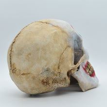 Cargar imagen en el visor de la galería, Joker Skull
